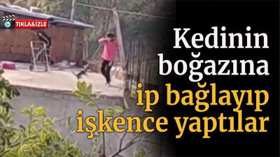 Kedinin boğazına ip bağlayıp işkence yaptılar